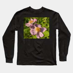 Pink Flowers in Field Long Sleeve T-Shirt
